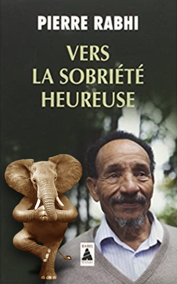 Vers la sobriété heureuse by Pierre Rabhi
